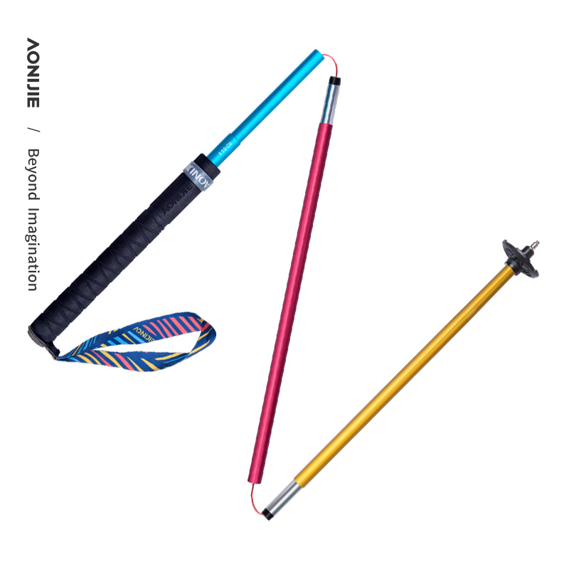 AONIJIE – bâton de randonnée p - Trekking Pole Carbon avis et prix