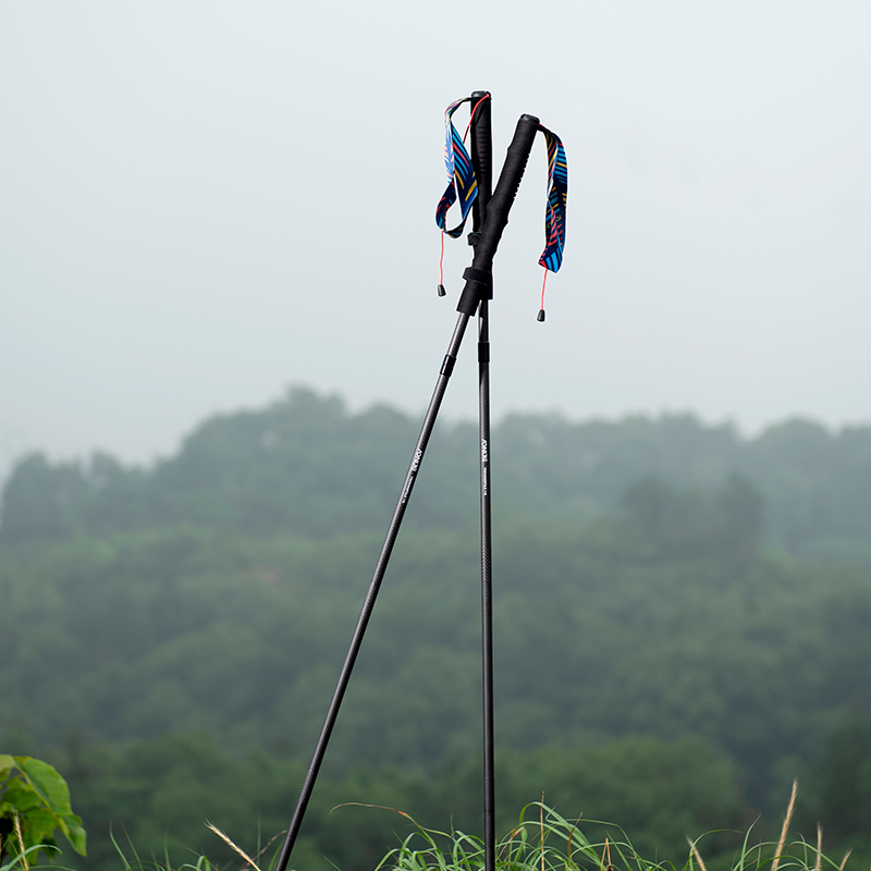 AONIJIE – bâton de randonnée p - Trekking Pole Carbon avis et prix