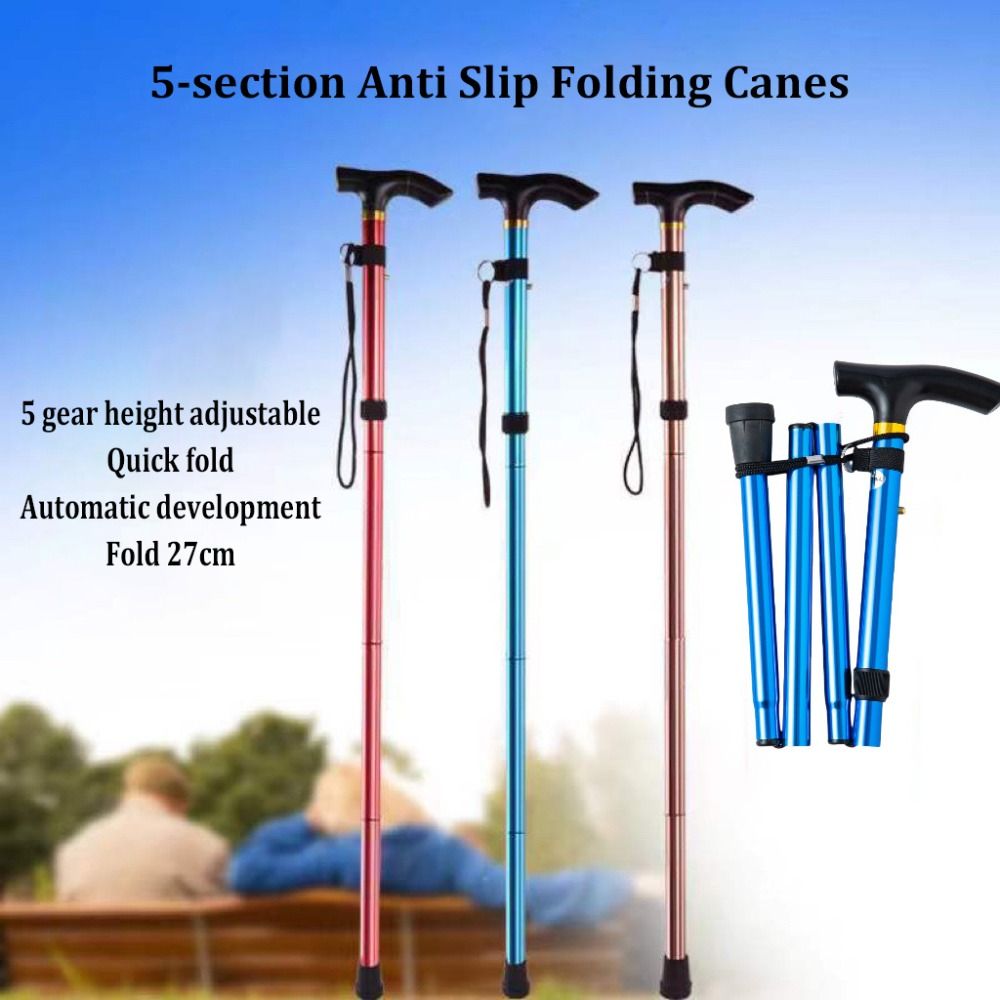 Bâton de randonnée télescopiqu - Trekking Pole Carbon avis et prix