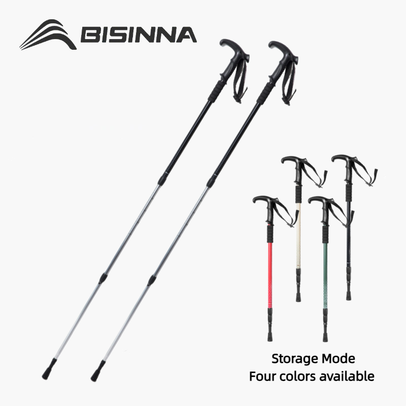 BISINNA 2 bâtons de marche tél - Trekking Pole Carbon avis et prix