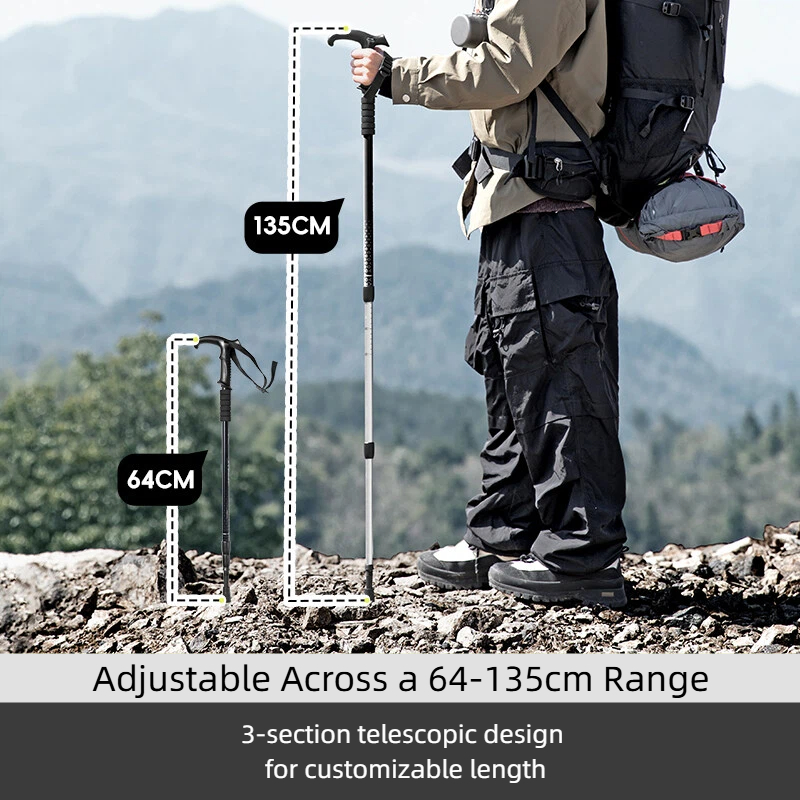 BISINNA 2 bâtons de marche tél - Trekking Pole Carbon avis et prix